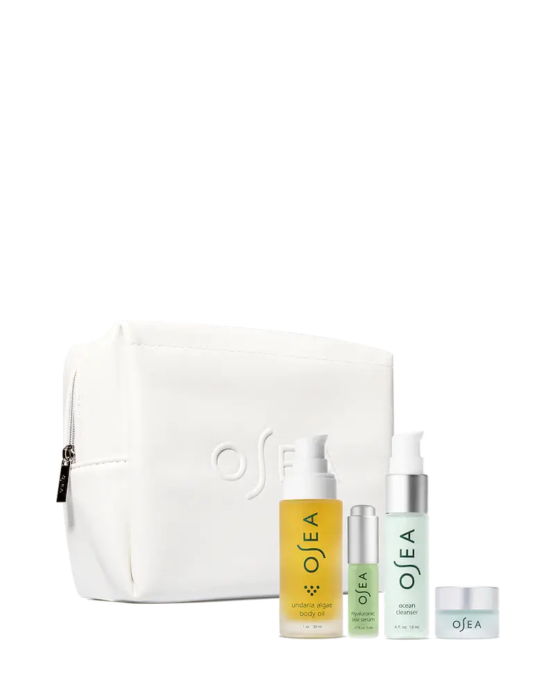 Bestsellers Discovery Set - Sprig Beauty Co