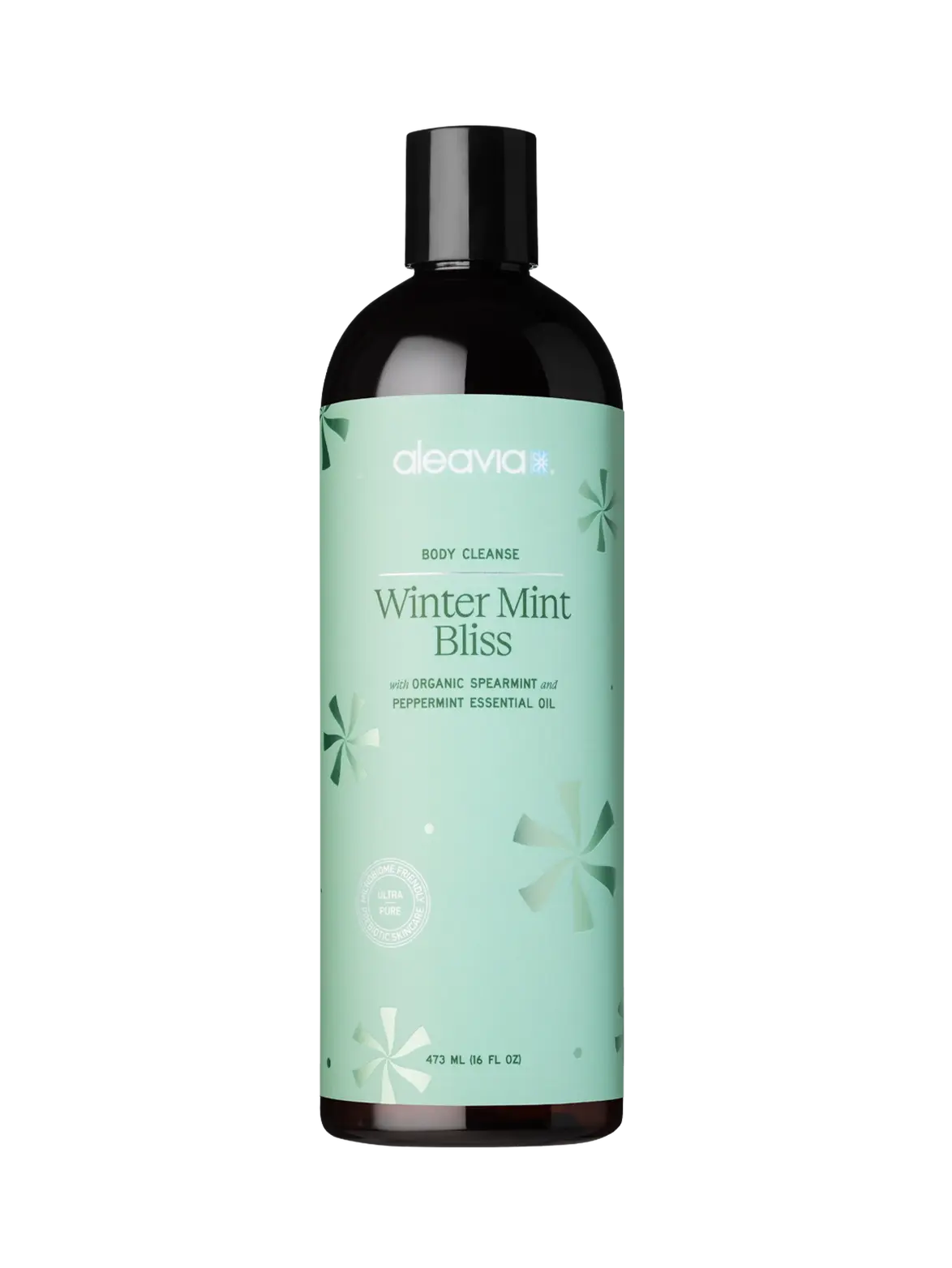 Winter Mint Body Cleanse - Sprig Beauty Co
