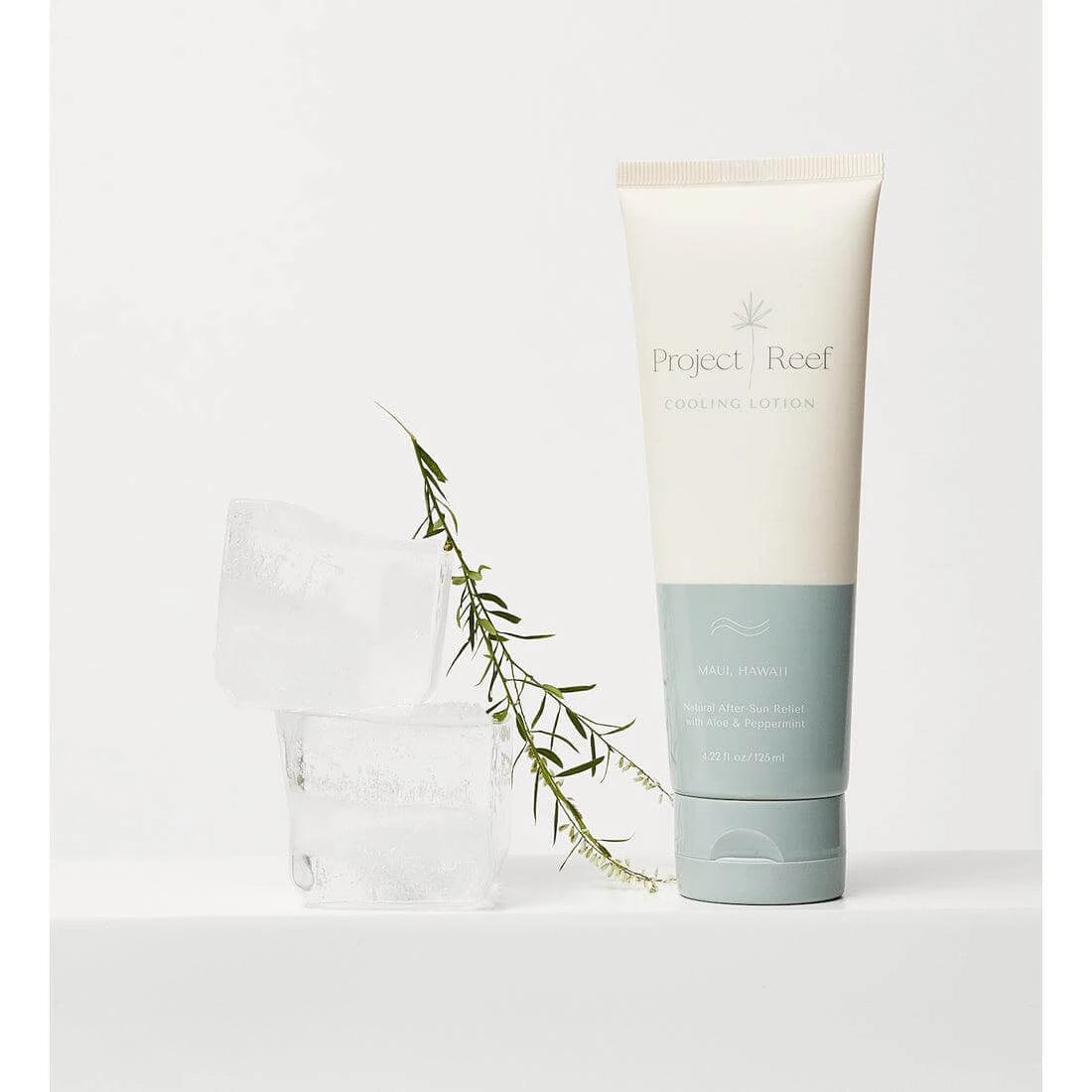 Cooling After Sun Lotion - Aloe + Peppermint - Sprig Flower Co