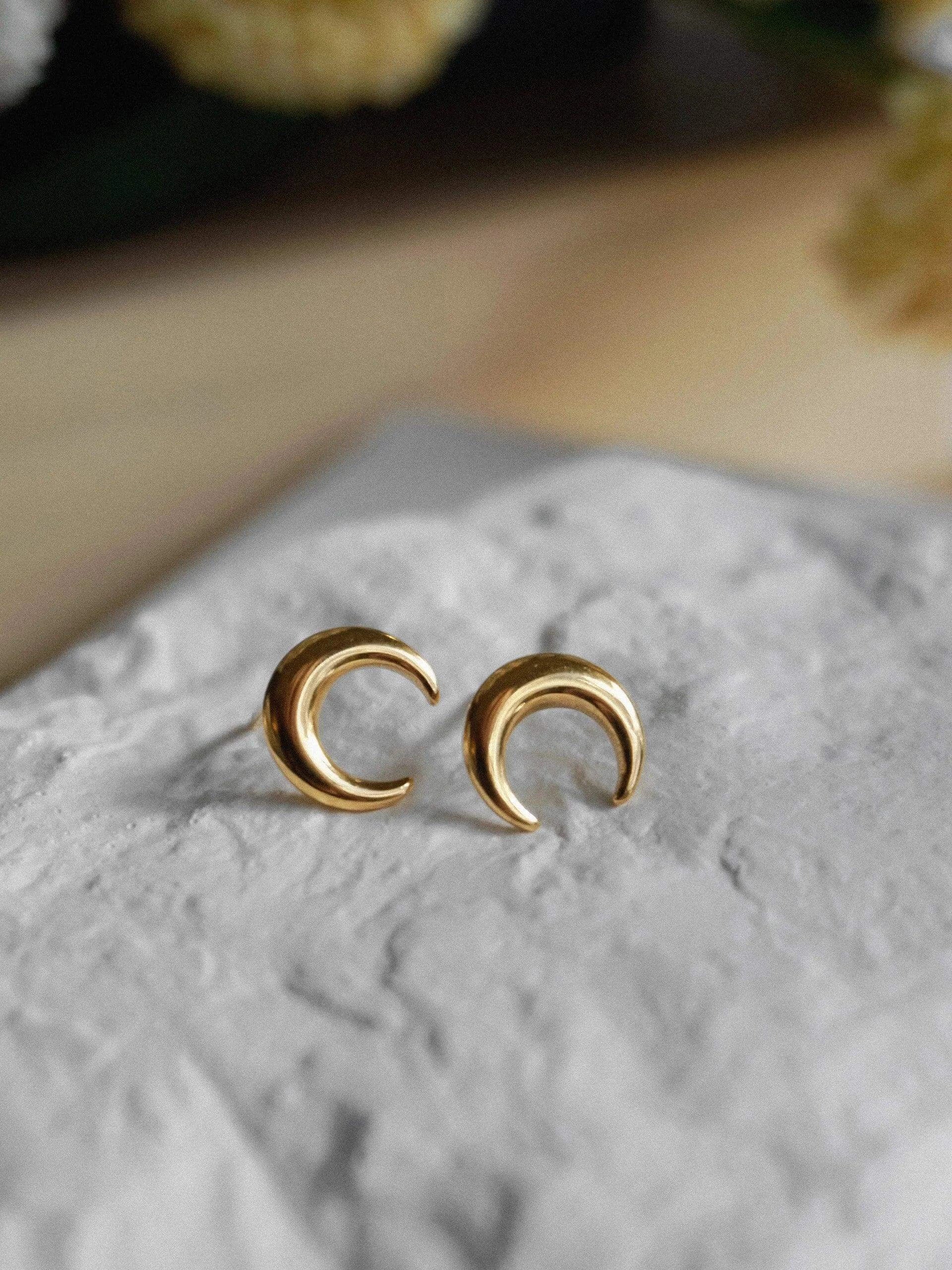 Eclipse Earrings - Sprig Flower Co