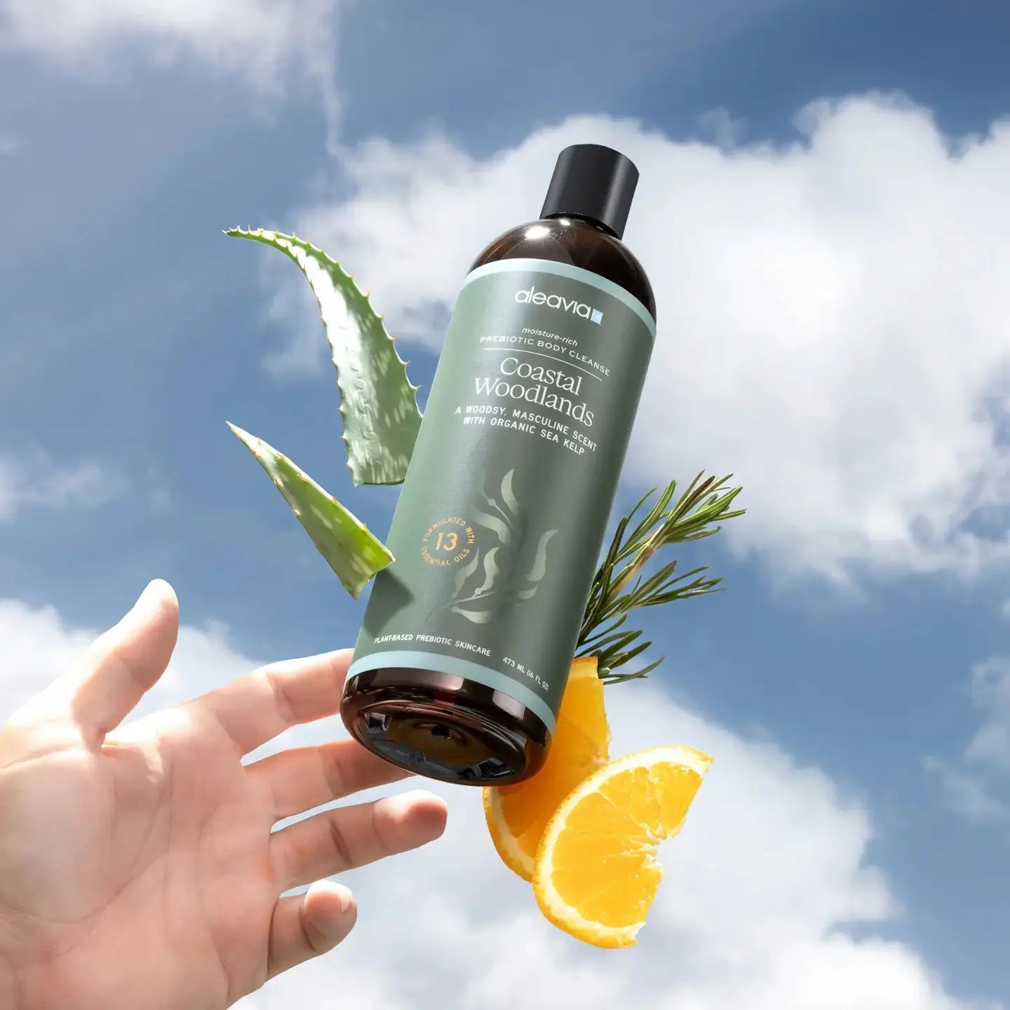 Coastal Woodlands Body Cleanse
