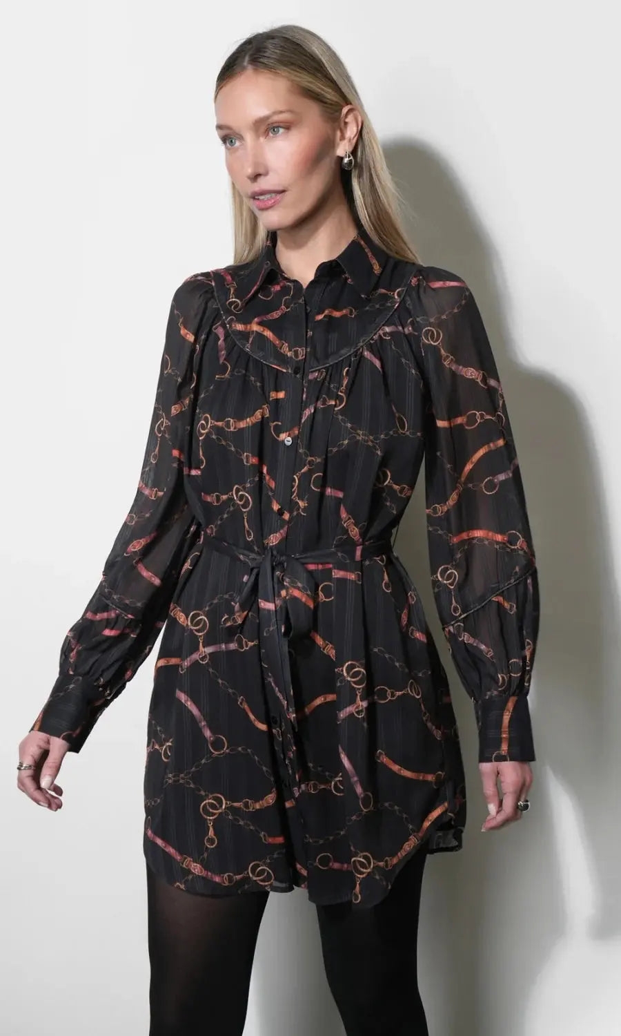 Anabelle Key Print Shirt Dress