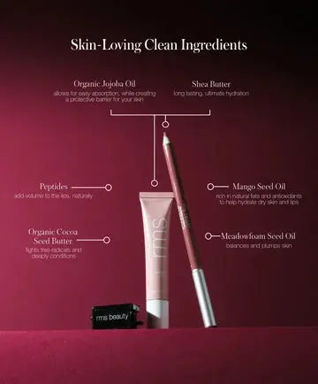 The Line & Shine Kit
