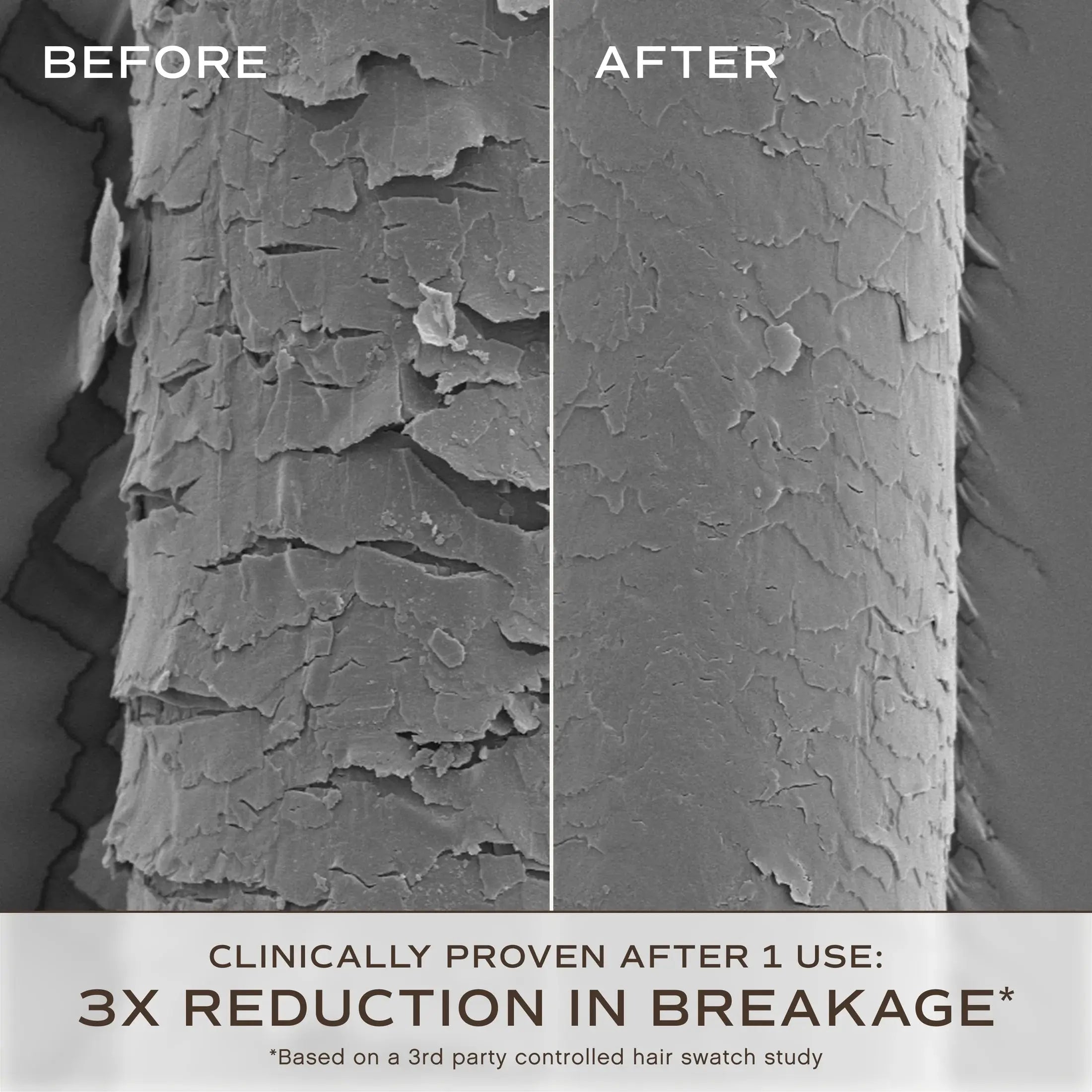 Overnight Repair Serum