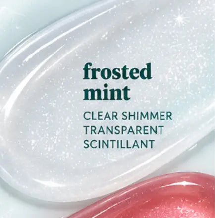Winter Shimmer Perfect Pout Lip Kit