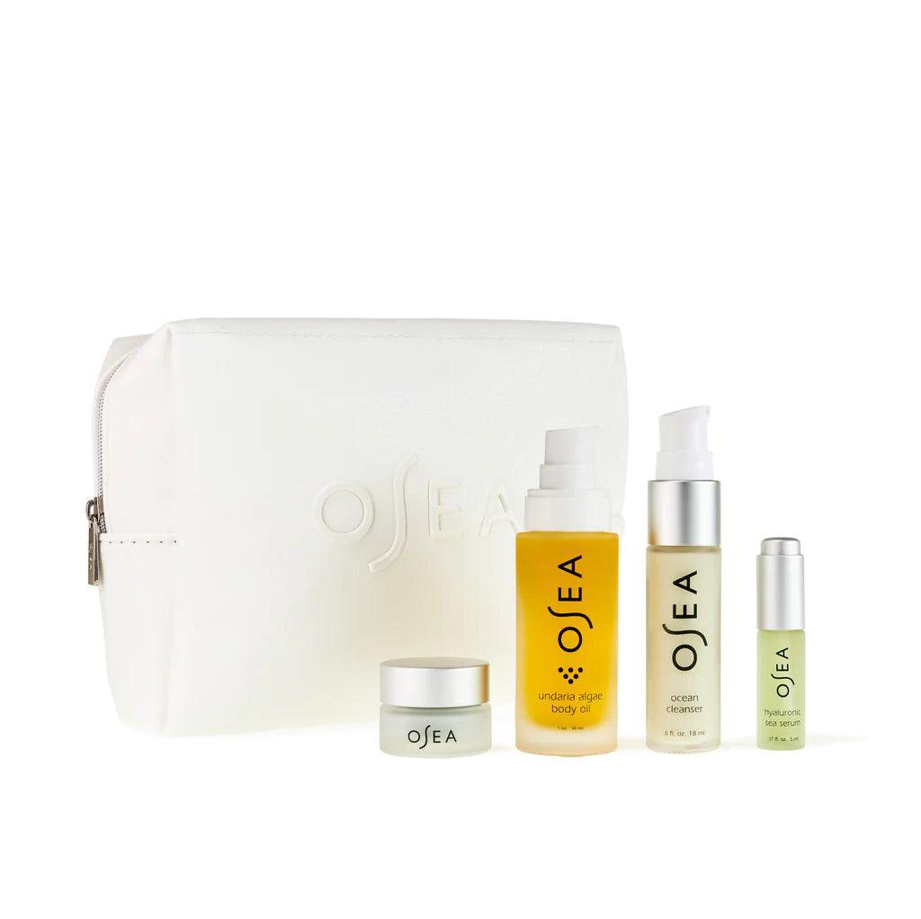 Bestsellers Discovery Set - Sprig Flower Co