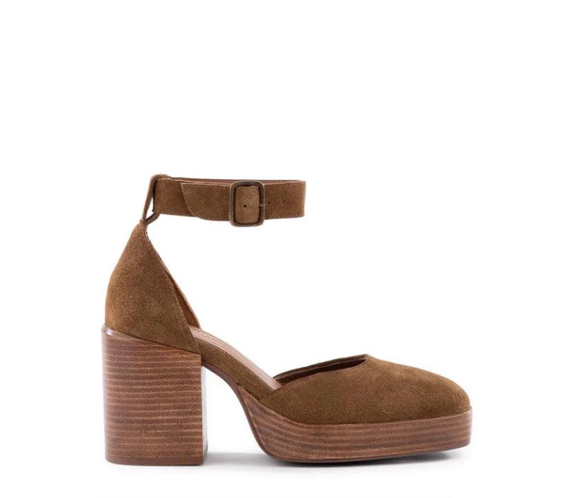 Gleaming Heel - Sprig Flower Co