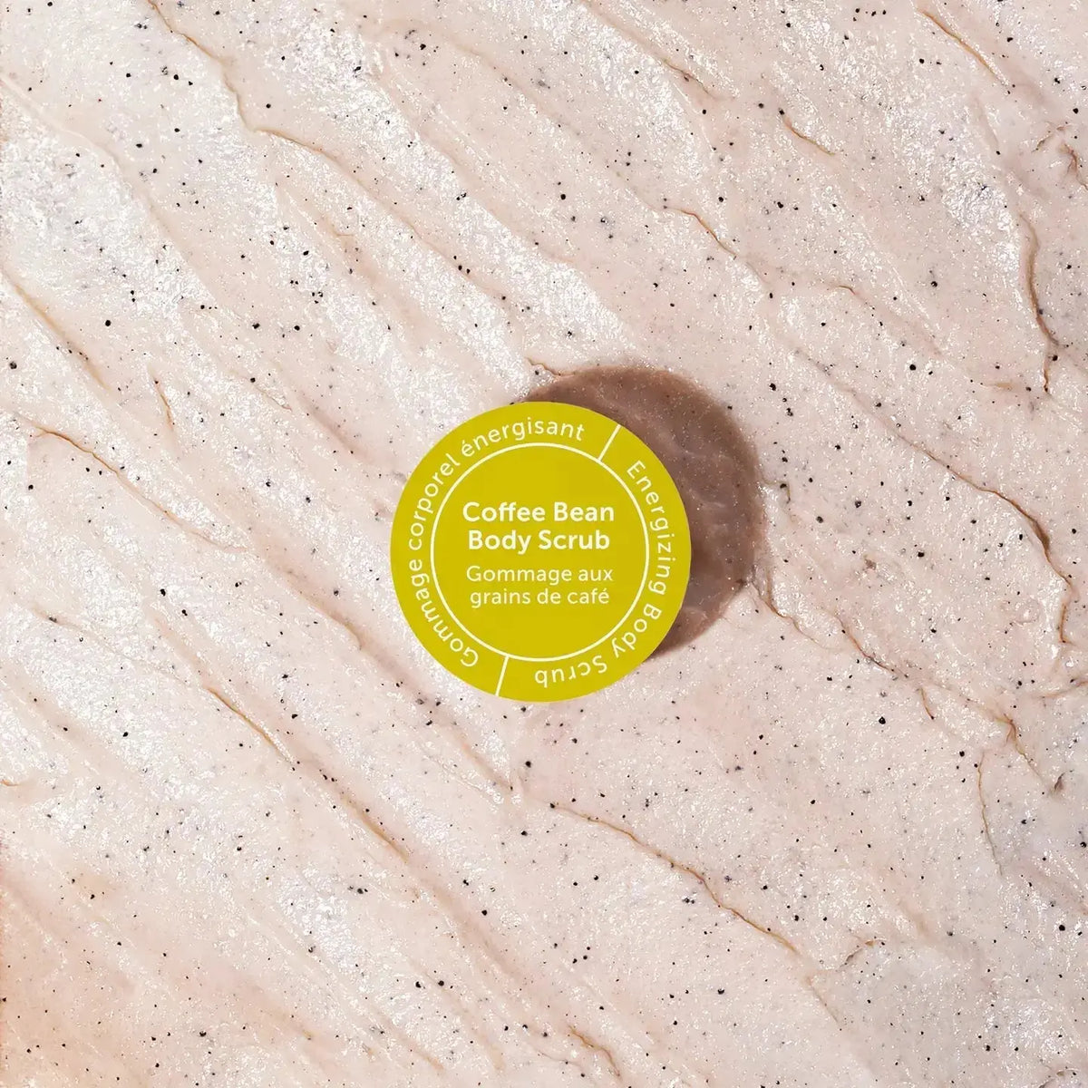 Midnight Paloma Coffee Bean Body Scrub in a jar with a textured surface and a label, ready for skincare use.