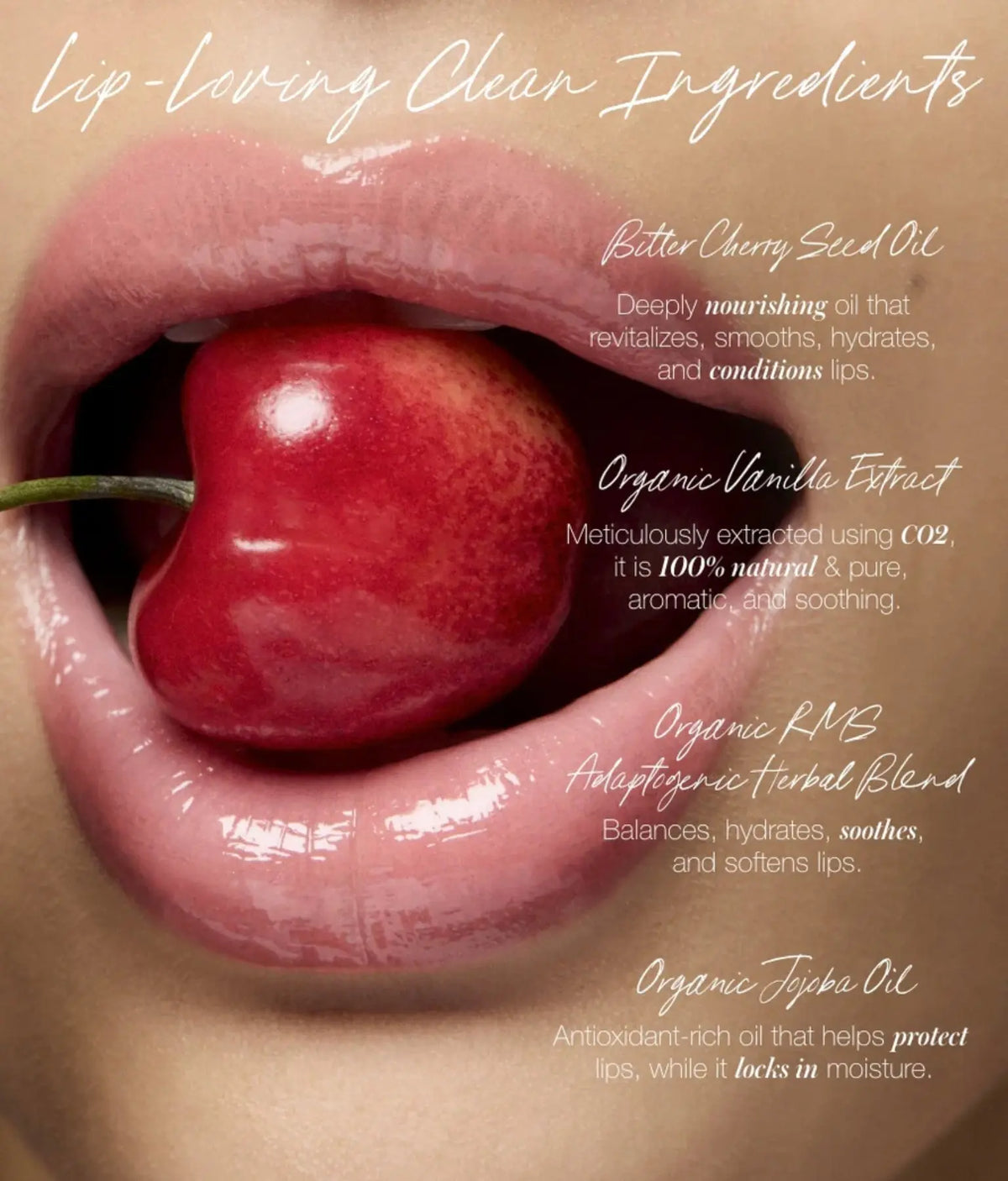 RMS Beauty Legendary Lip Oil in a clear tube showing glossy, hydrating lip oil with a doe-foot applicator.