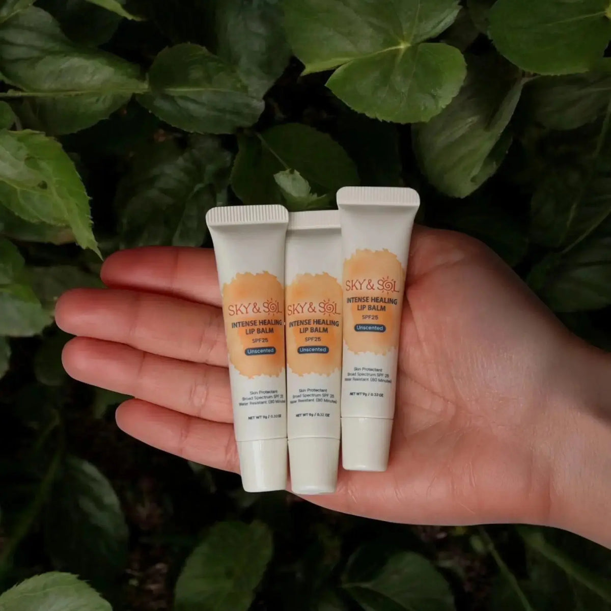 Three Sky and Sol moisturizing lip balms with SPF 25, featuring clear, tinted, and flavored lip jelly containers.
