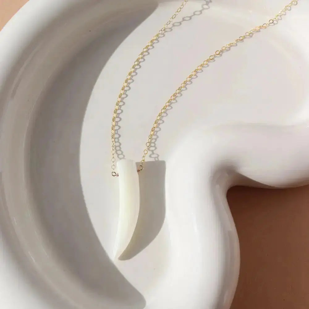 Mother of Pearl Tusk Necklace by Token Jewelry featuring a polished pearl-tusk pendant on a delicate chain.