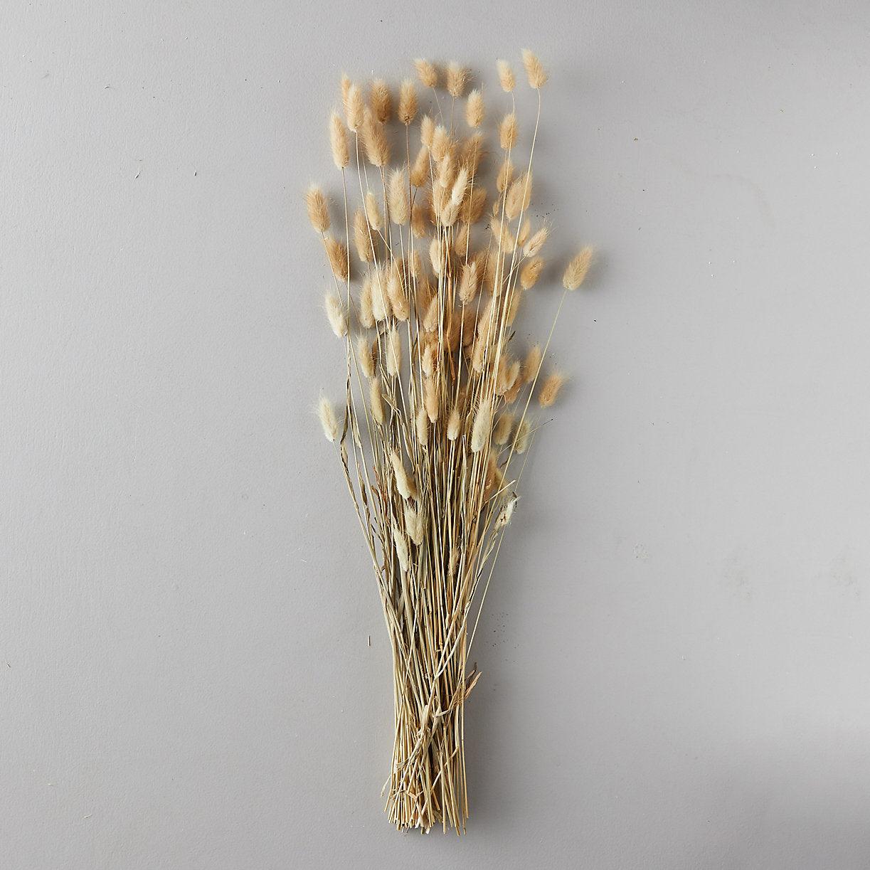 Dried Bunny Grass - Sprig Flower Co